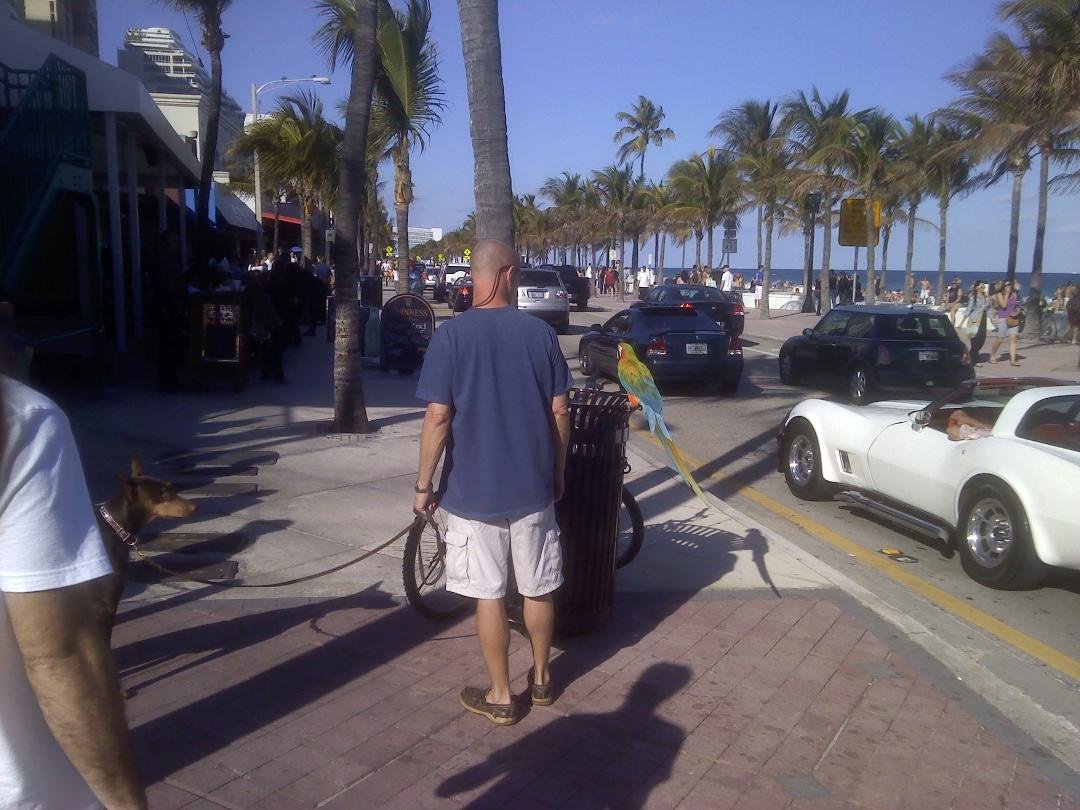 Ft Lauderdale