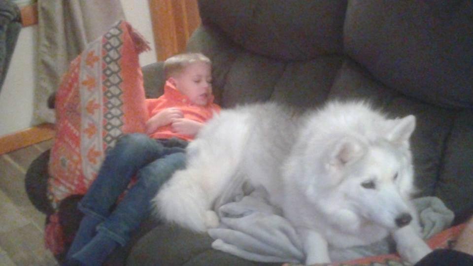 Michael fell asleep before pizza delivered.