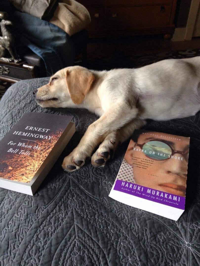 Heavy reading