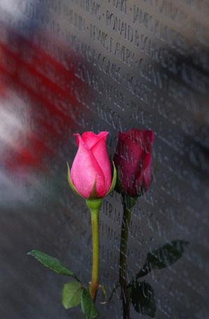 EVERY DAY IS MEMORIAL DAY
Every Day is Memorial DayToday we remember
A grateful Nation recalls
Our Men and Women
Who paid the price
Of freedom for us all
For those of us who
Served beside them
Every day is Memorial Day
We