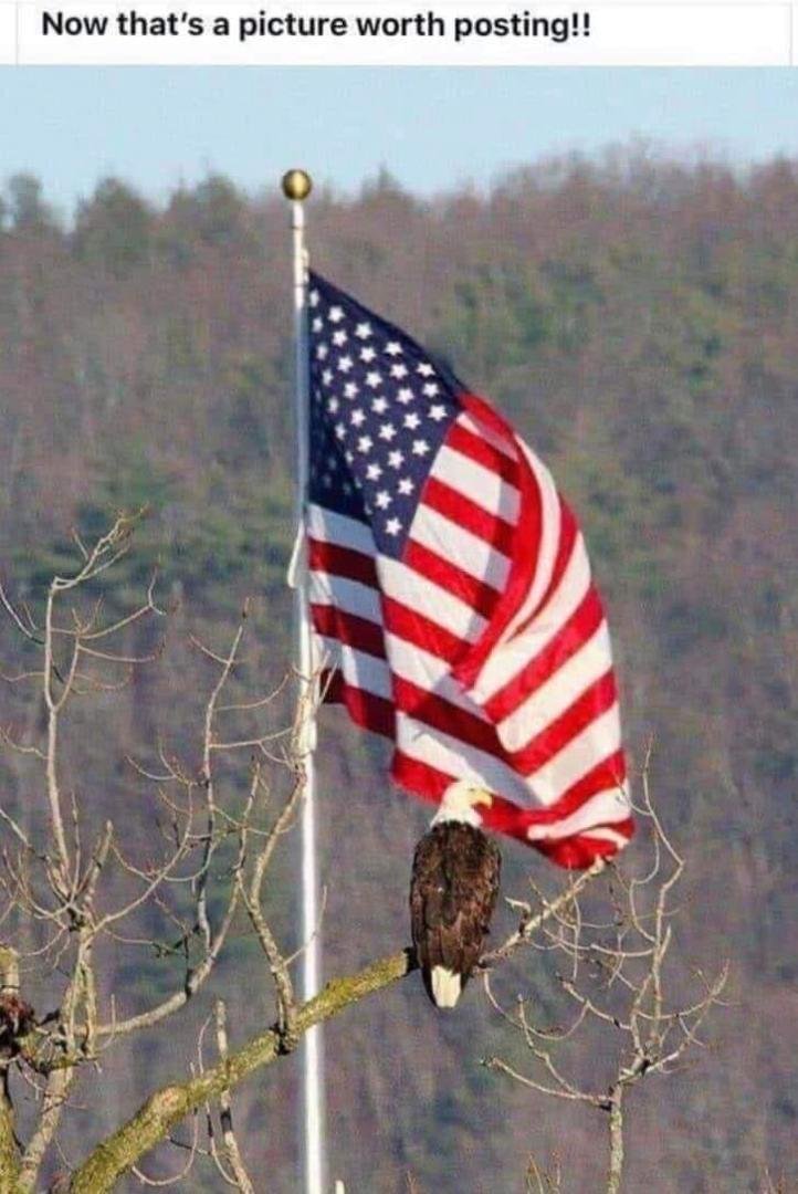 HAPPY 4th of July everyone!