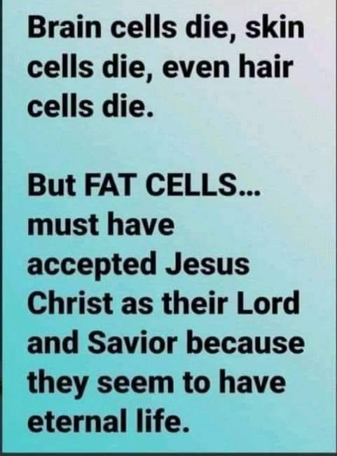 Boy howdy, isn't this the truth???