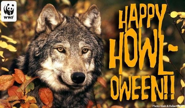 HAPPY HALLOWEEN TO ALL MY FRIENDS AND FAMILY!