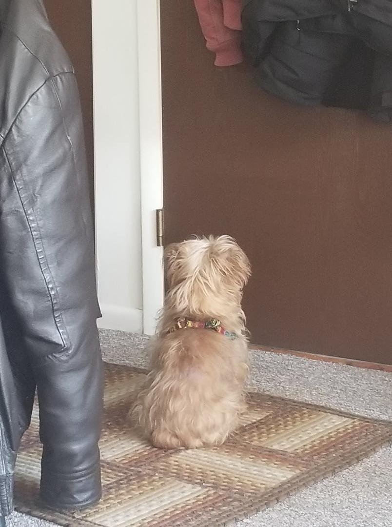 Waiting for Kat