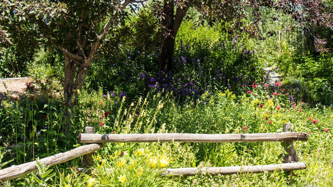 Patrick McDougle's album, Yampa River Botanic Park