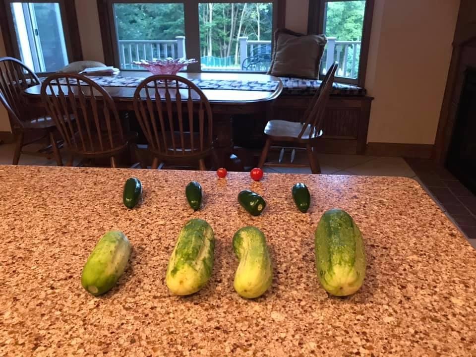 The Pickle season is on! Today’s harvest along with jalapeños and two tomato’s!