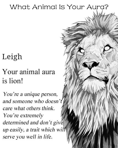 Leigh Manfredo's album, Timeline Photos