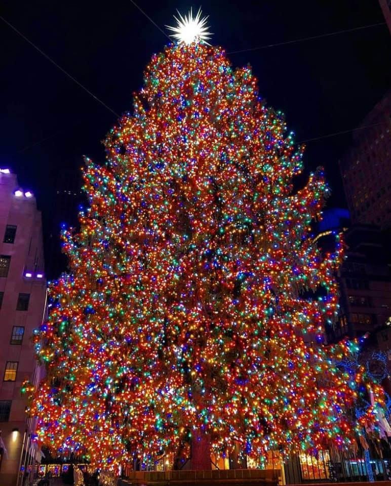 Merry Christmas!