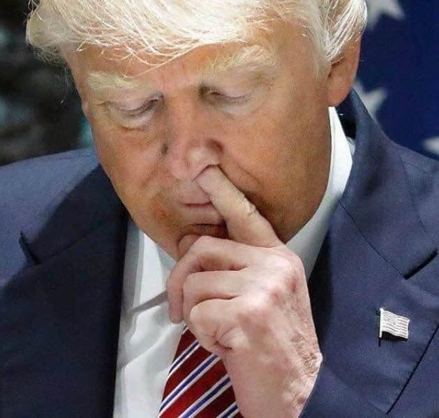 You can pick your friends, and you pick your nose, but you can't pick Trump's nose , he's already picked his own nose !?!