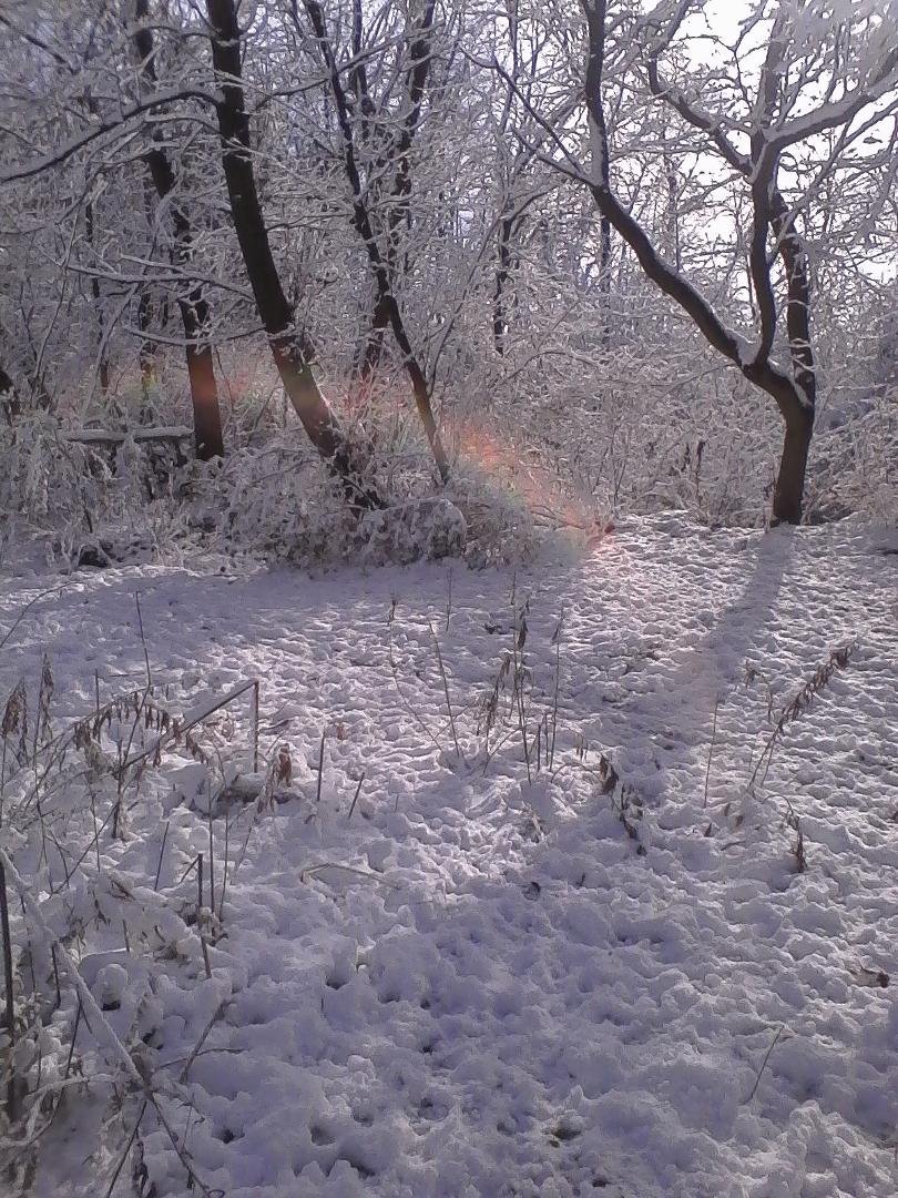 *)
there is
a rainbow here
r