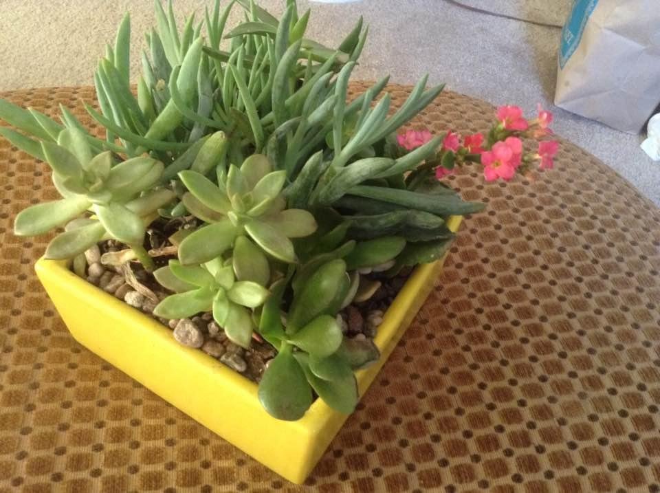 Lydia Knowles' album, Timeline Photos