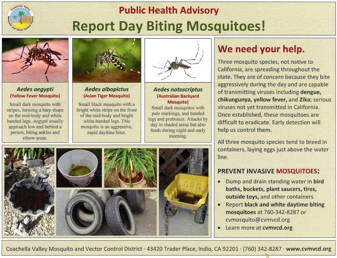 For the Coachella Valley: Watch out for these guys and report (instructions on flyer) if you are bit during daytime by a black and white mosquito.