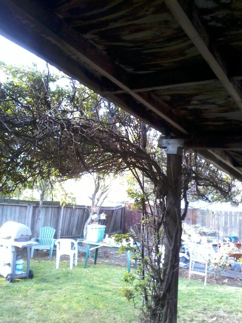 Photo 2 of the patio cover...before.