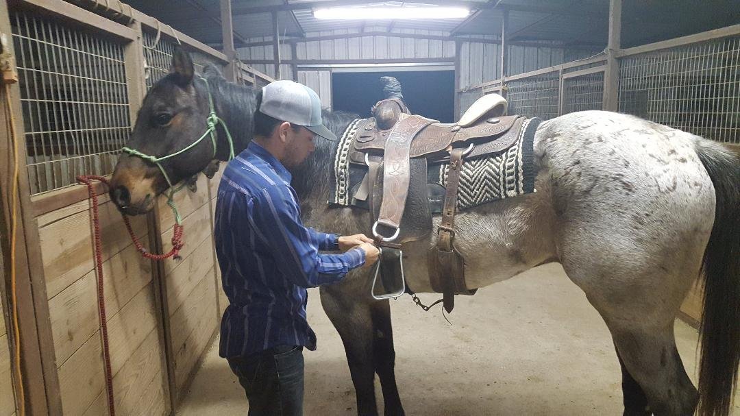 The Legend ...Badger after a long day being let out to hit the pasture.