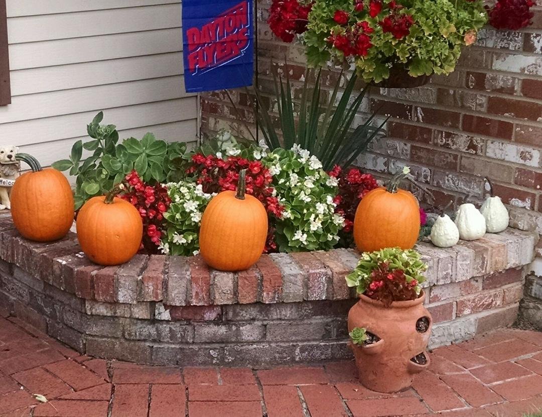 My first ever pumpkins.