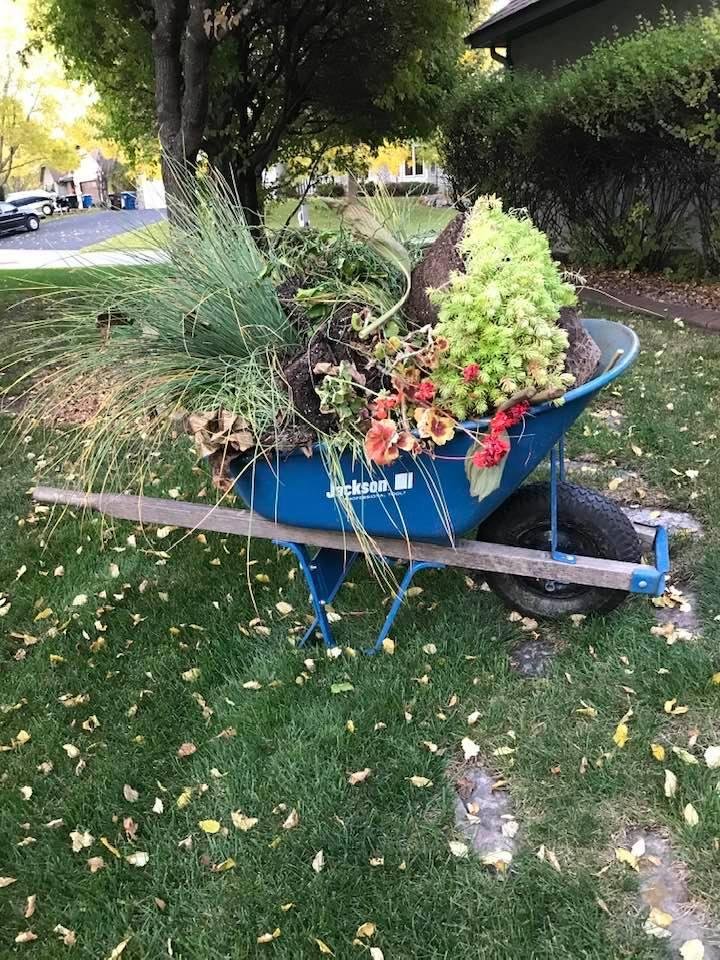 One more year and sad to see them go.
Soon the deck will be covered with snow.