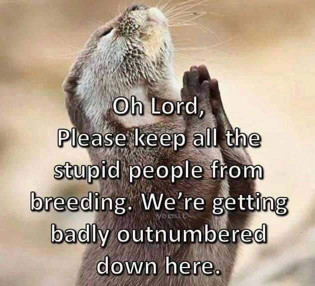 Kim Hunsanger's album, Timeline Photos