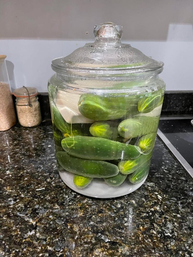 third batch of 14 day pickles started