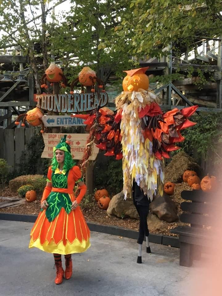 Great day at Dollywood with my honey