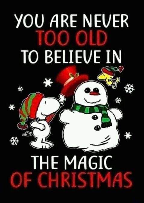 Mark Grossmann's album, Timeline photos
