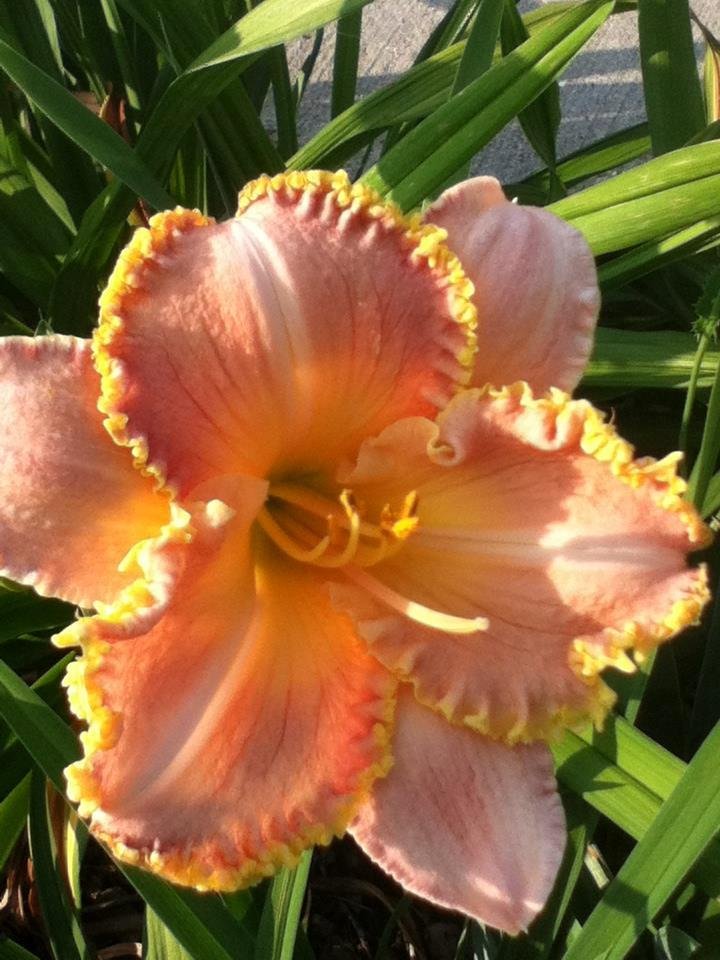 Gretta Gribble's album, Timeline Photos
