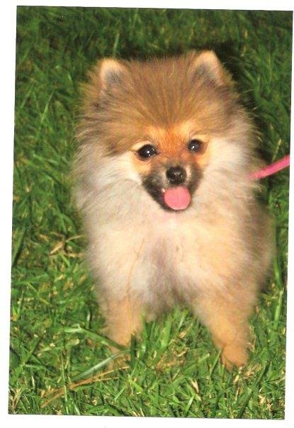 Precious at 5 months