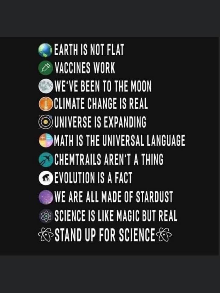 Doreen Holden's album, Mobile Uploads