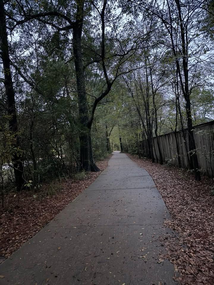 Morning walk in new coat, old gloves. Terramont Dr, TW