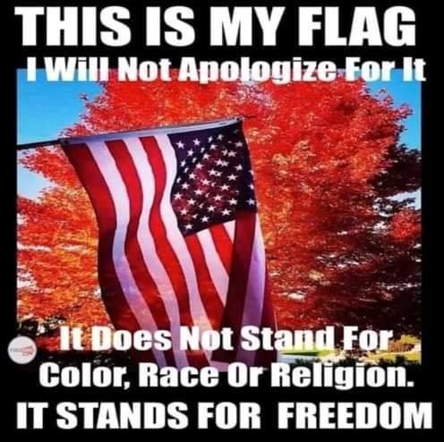 Michael McConnell's album, Timeline Photos