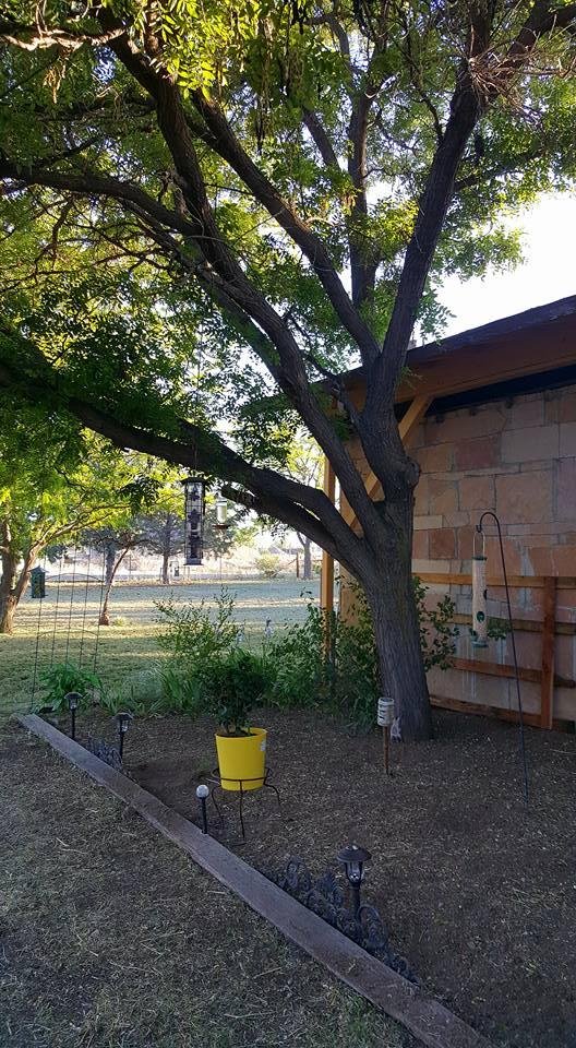 Robin Baker's album, Mobile Uploads