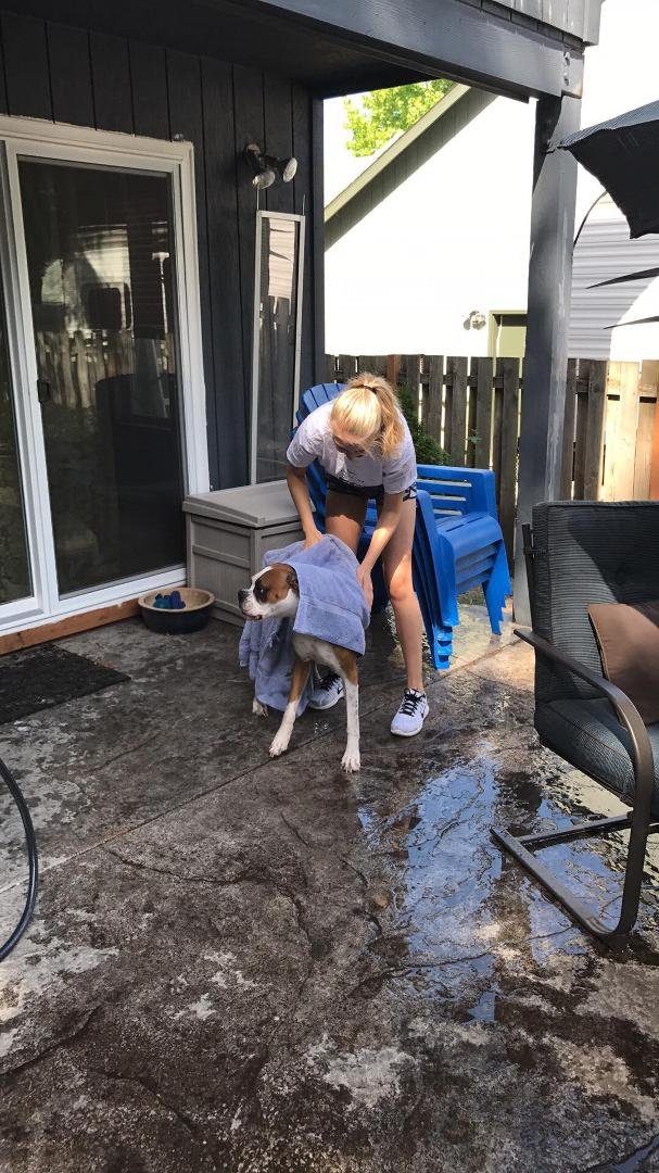 Brooke Benjamin giving rusty a bath awww