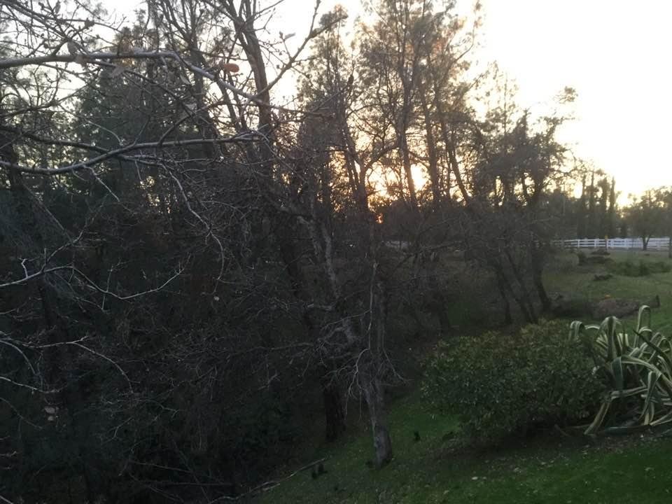 Setting sun, off my deck. January 2020