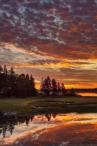 Challenge: At least once a day for the next week, go to God in prayer, and thank Him for something He’s done for you, without asking Him for anything.