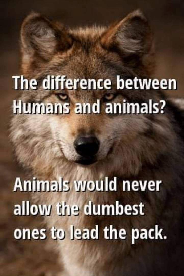 Just sayin...
