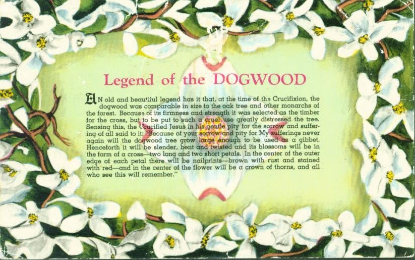 May everyone have a blessed Easter and are blessed as they read this story the "Legend of the Dogwood"
