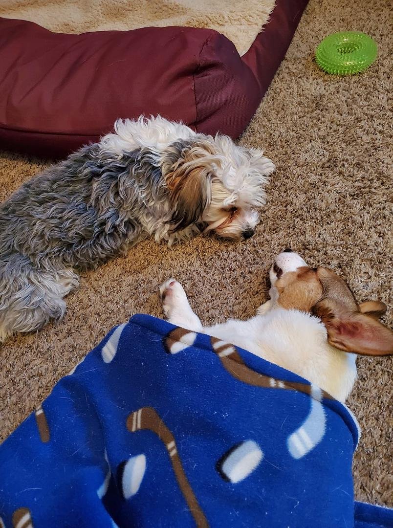 Nap time