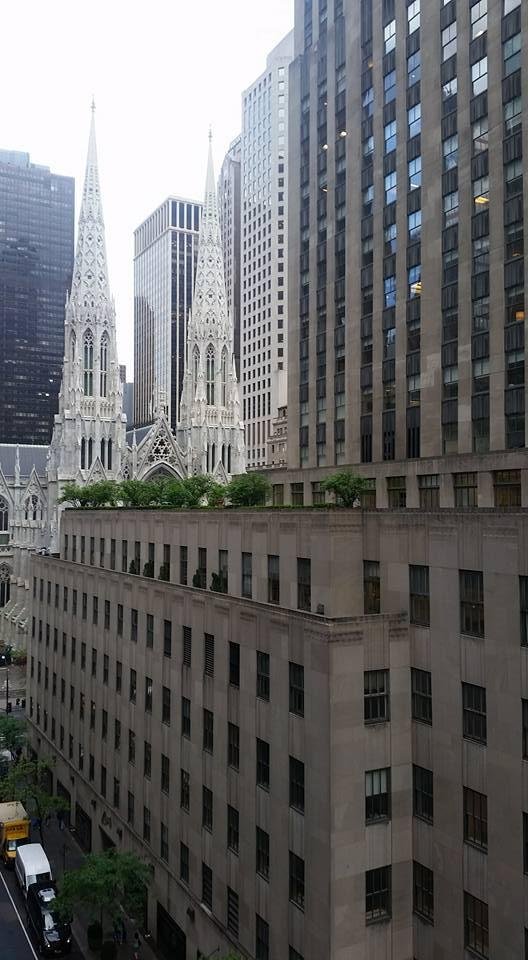 The view from my room.