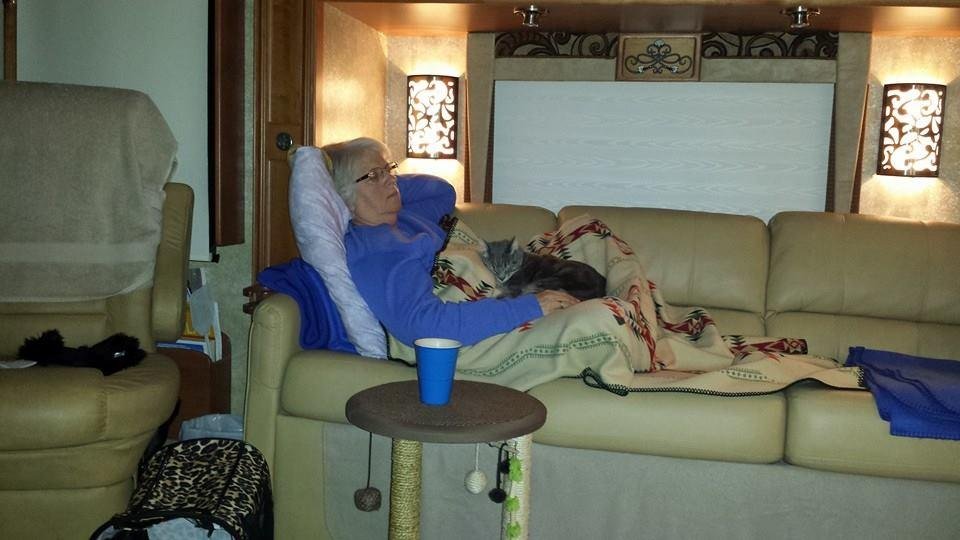 Two sleeping beauties!