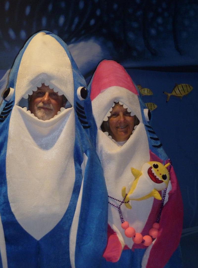 #dcinvadestheaquarium  Dragon Con Sharks at the aquarium!