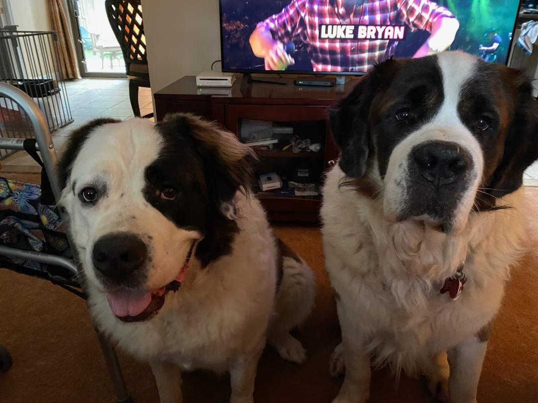 Snowy and Max!