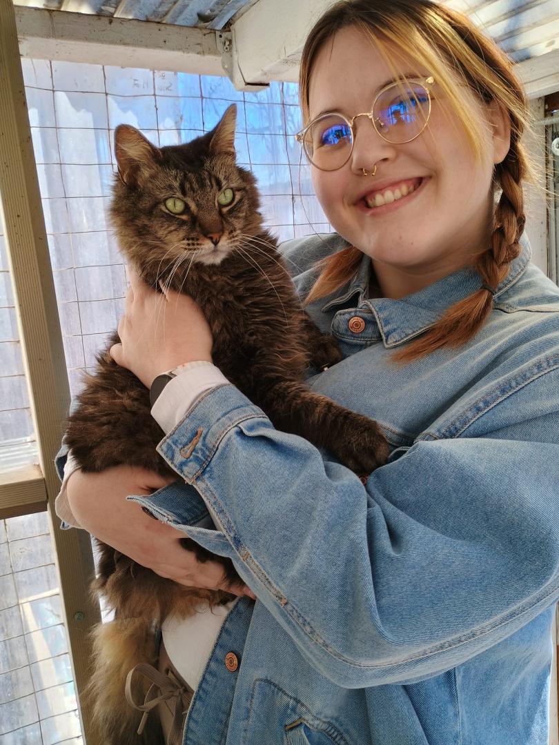 Chevy's dream has come true. He has a forever home and a Momma who loves him so much. He also has a young brother to play with. Adopted today from Lifetime Animal Placement and Protection.