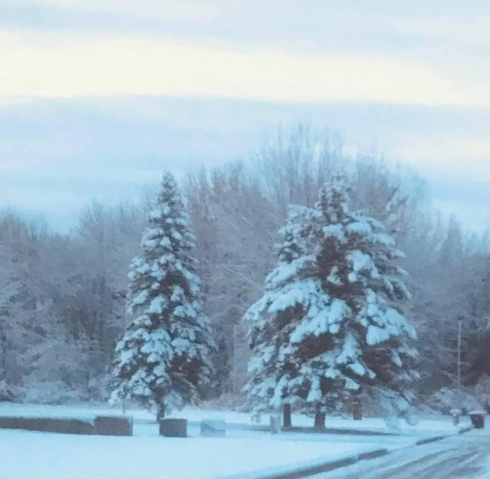 Early morning snow pics