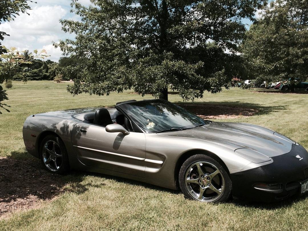 A beautiful day for a car show at the Iowa Arboretum!