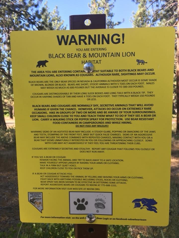 Lions and tigers and bears, oh my!
(no actual tigers...but I did see an angry looking striped housecat. Meow! (Rrrrroar!)