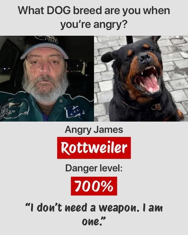 James Sweed's album, Timeline photos