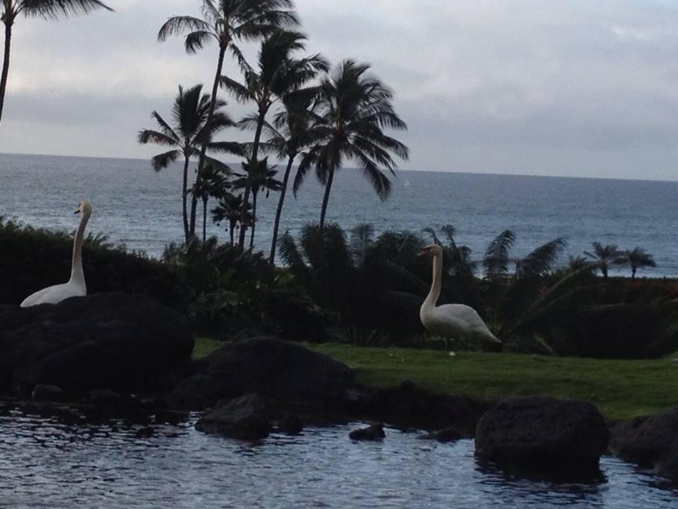 View at breakfast this morning...not so bad