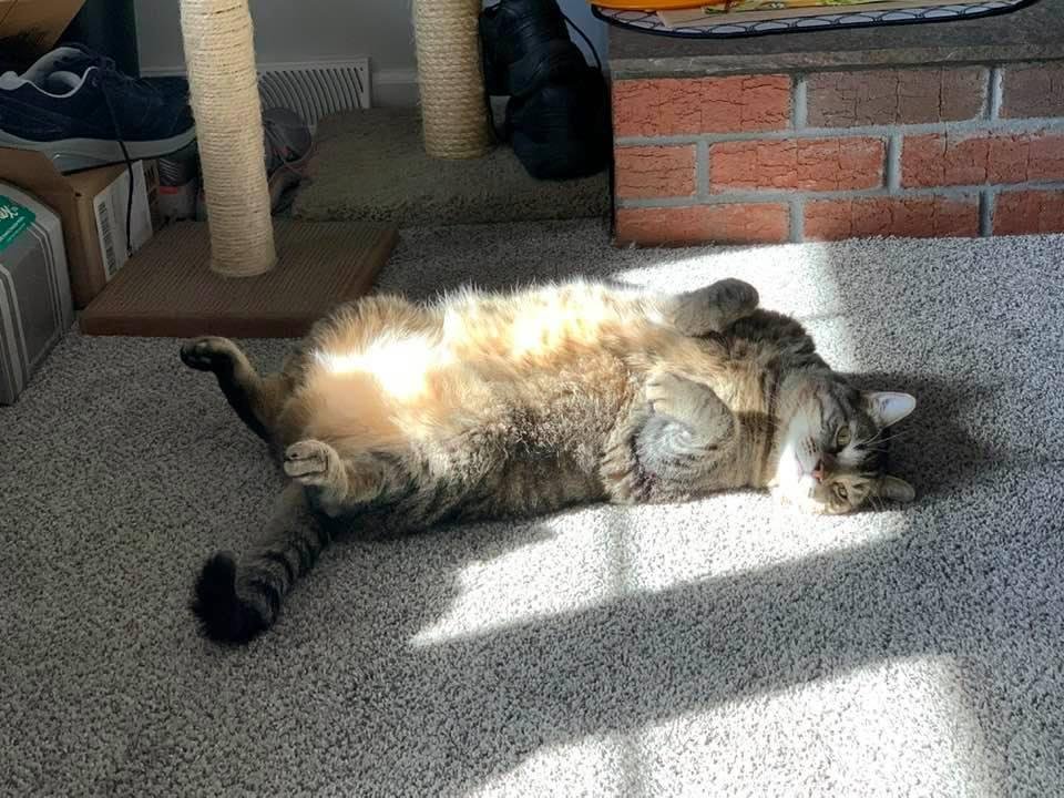 enjoying the sunshine