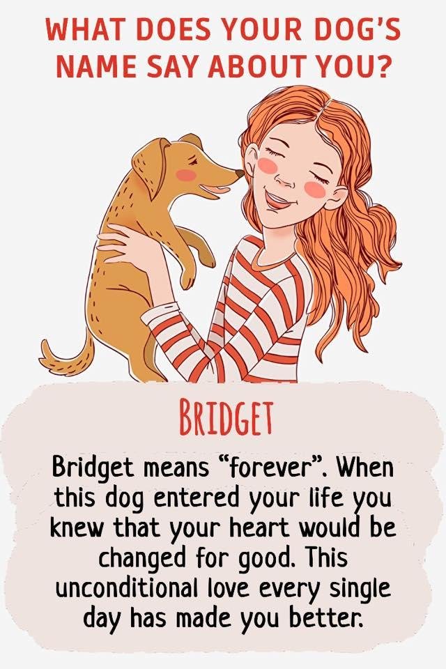 Dena Conrad's album, Timeline Photos