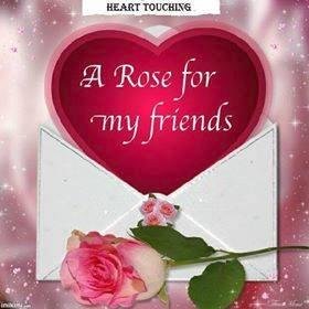 Diane Rybarczyk's album, Timeline Photos