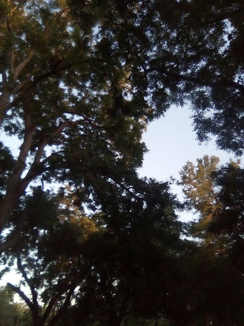 Kick a hole right in the sky....